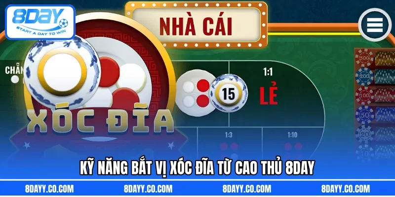 Kỹ năng bắt vị Xóc Đĩa từ cao thủ 8DAY