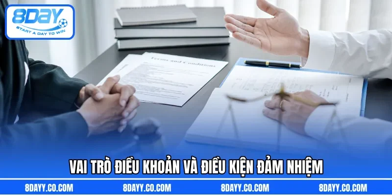 Vai trò điều khoản và điều kiện đảm nhiệm